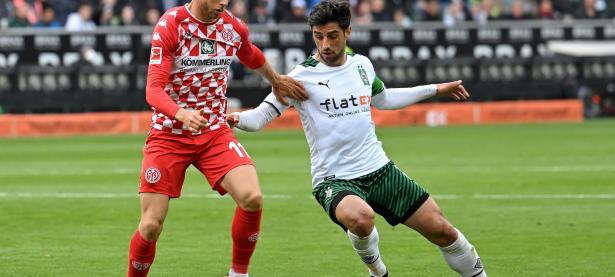 爱游戏-美因茨遭遇败仗，德甲保级形势不容乐观的简单介绍