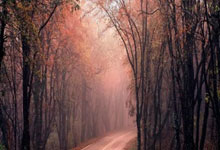 泰国射击健将实现突破，凭实力跻身前列