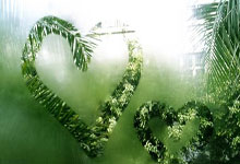 泰国射击健将实现突破，凭实力跻身前列