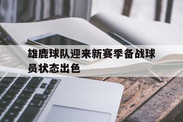 爱游戏登录-雄鹿球队迎来新赛季备战球员状态出色